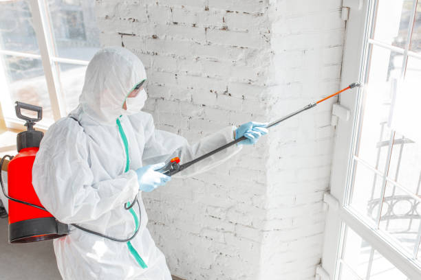 Best Commercial Mold Inspection  in Wallace, NC