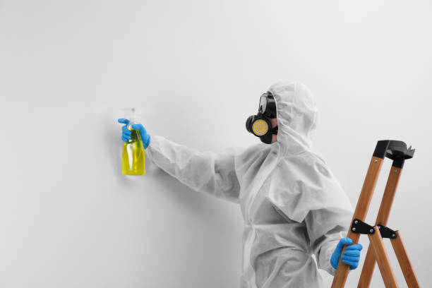 Best Biohazard Mold Removal  in Wallace, NC